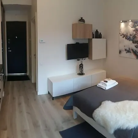 Mindaugas Apartment